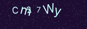 Validation image